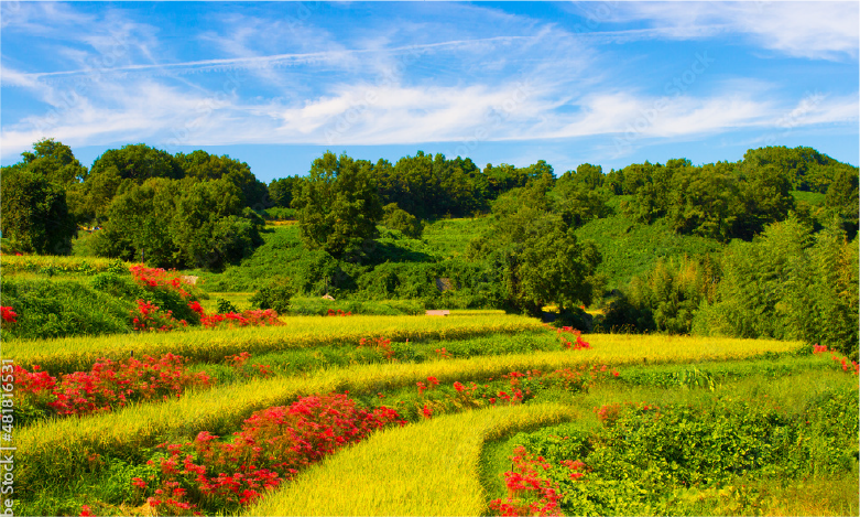 飛鳥プロフェッショナルガイドツアー