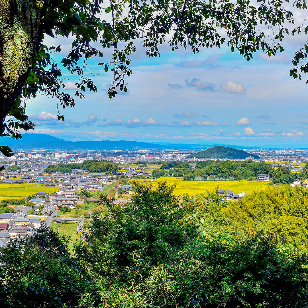 「明日香法」により守られてきた景観
