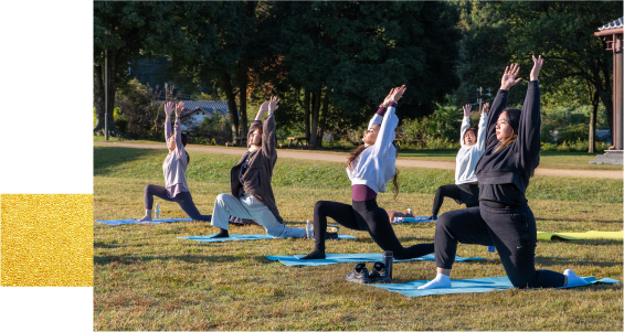 歴史の地で整える心と身体のヨガ体験