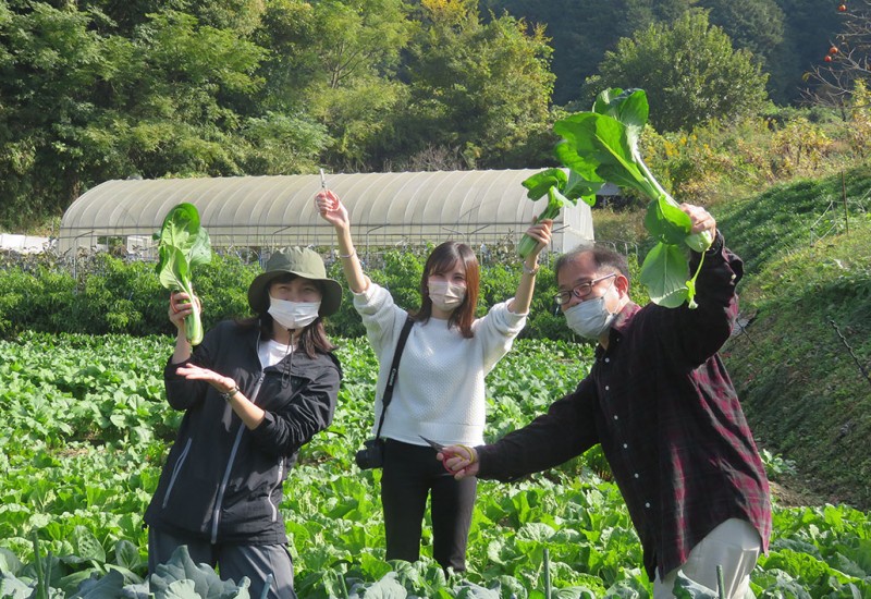 明日香村フードハンティングツアー～青空古墳カフェ～（農家さんから野菜をゲット）
