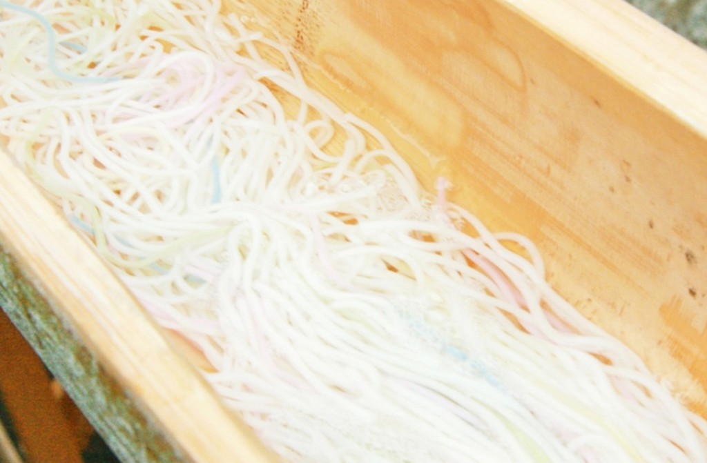 明日香村で流しそうめん＆里山の生きもの観察