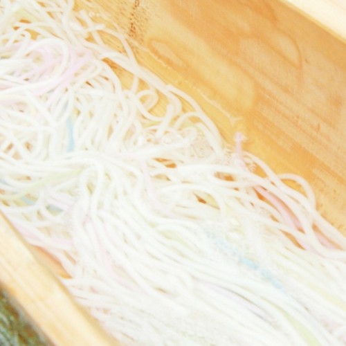 明日香村で流しそうめん＆里山の生きもの観察