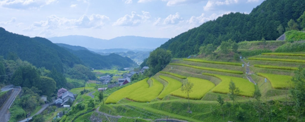 明日香村 橘寺