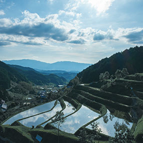 明日香村の稲渕棚田
