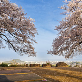 国営飛鳥歴史公園・甘樫丘地区