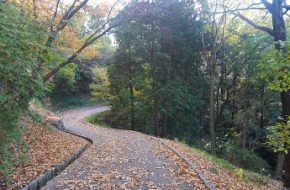 国営飛鳥歴史公園・甘樫丘地区