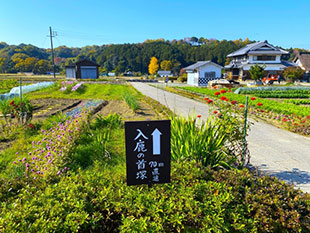 明日香村の蘇我入鹿首塚