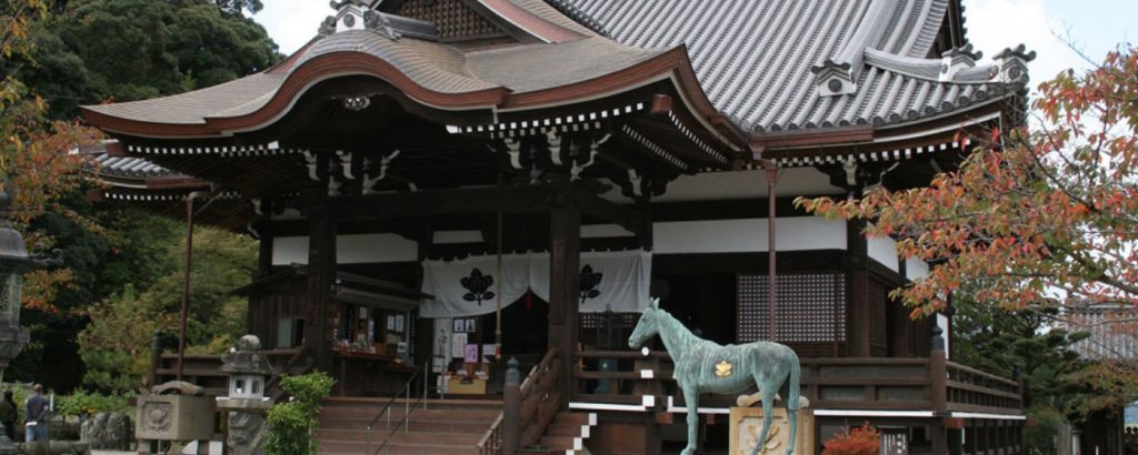 明日香村 棚田